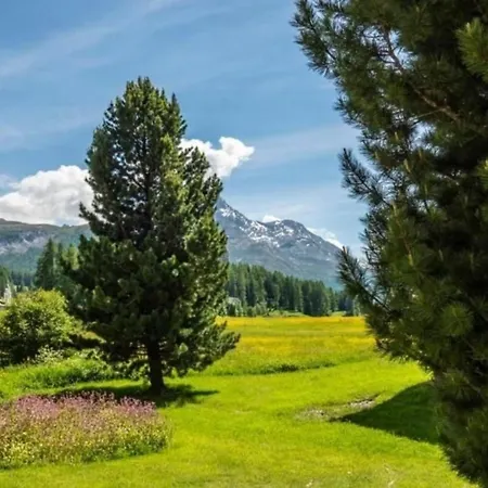 Chesa Arnica 2 - Oev Inklusive Apartment Sils Maria